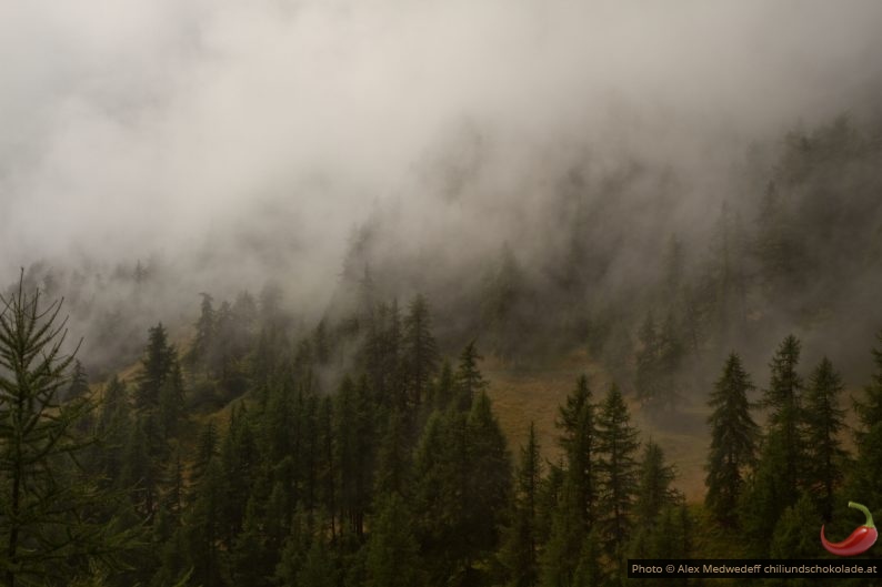 20150823-105711_le_brouillard_se_leve_de_la_foret