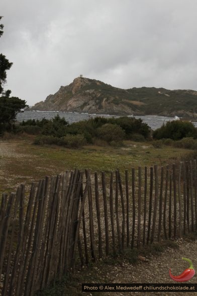 Tour de la Marine sur l'Île des Embiez