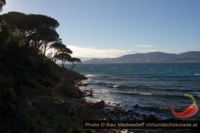 20160211-154818_ombres_d_hiver_sur_le_sentier_du_littoral