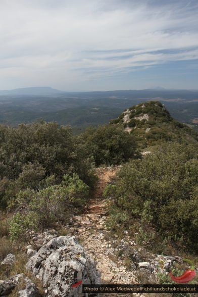 20160322-121602_sentier_sur_la_crete_du_petit_bessillon