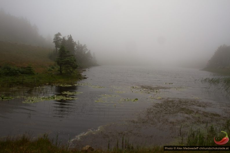 20160713-130235_lac_rudjordsvannet_sous_la_brume