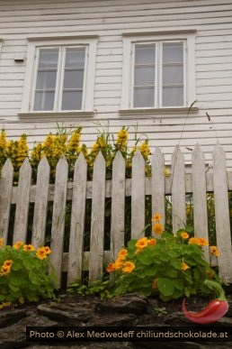 20160714-122013_petit_jardin_dans_le_quartier_du_vieux_stavanger