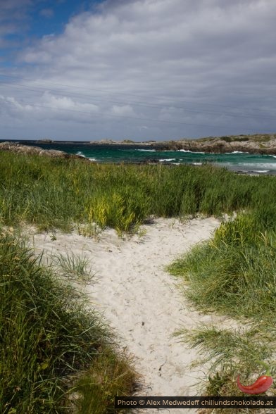 20160716-110610_chemin_sablonneux_menant_a_la_plage_de_haaland-sand