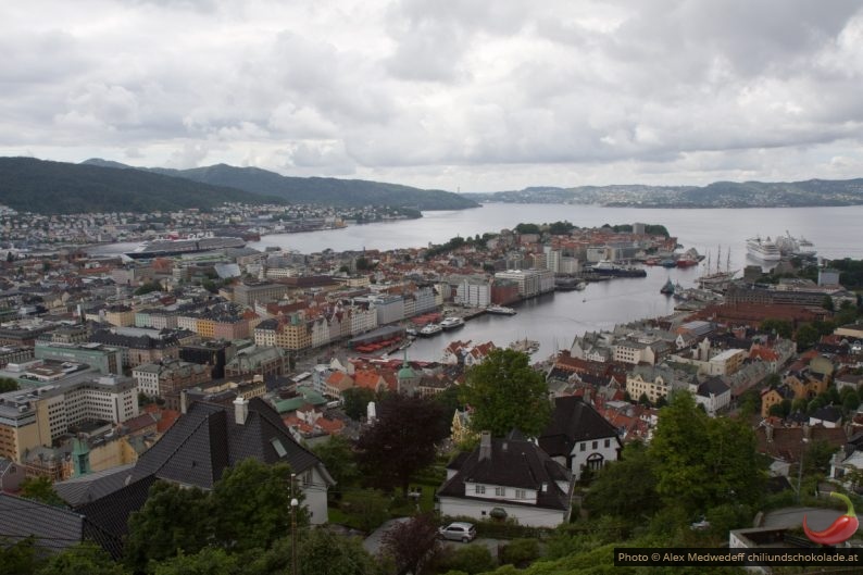 20160718-141639_bergen_vu_de_sous_floyen