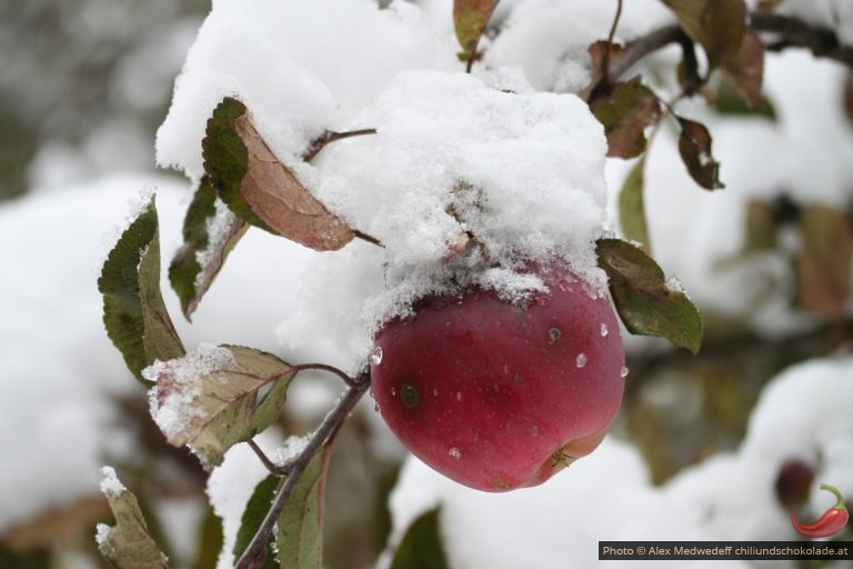 Vom Winter überrascht…