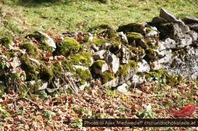 Bemooste Trockensteinmauer