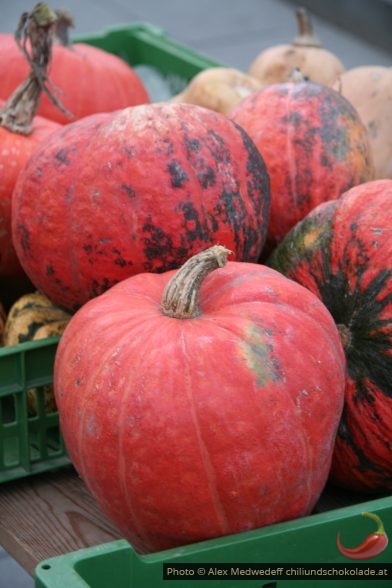 Kürbisse am Markt im Herbst