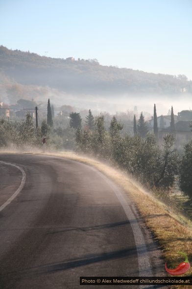 Le soleil perce le brouillard en Toscane