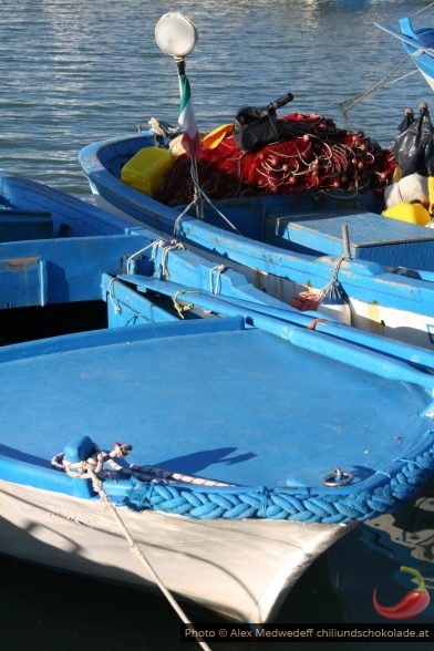 Petits bateaux de pêche