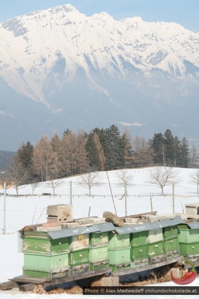 Bienenstöcke im Winter