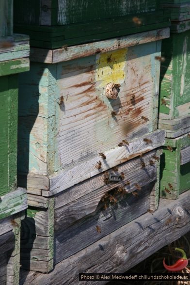 Bienenstöcke aus Holz
