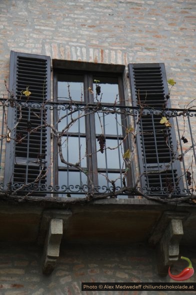 Weinreben auf Balkon