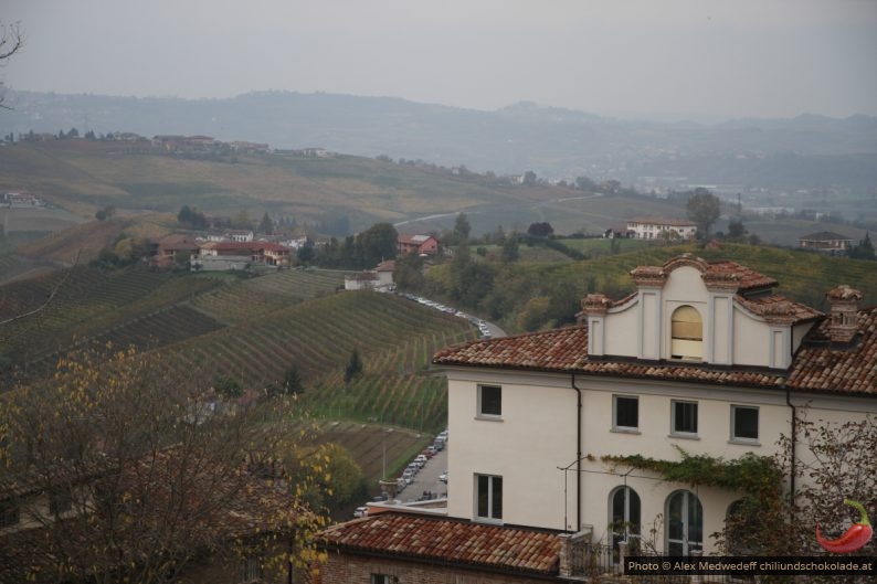 Blick über die Dächer von Neive in die Weingebiete