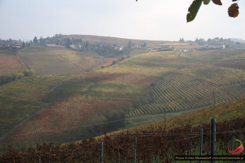 Barbaresco-Weinbaugebiet