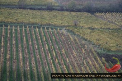 Barbaresco-Weinbaugebiet