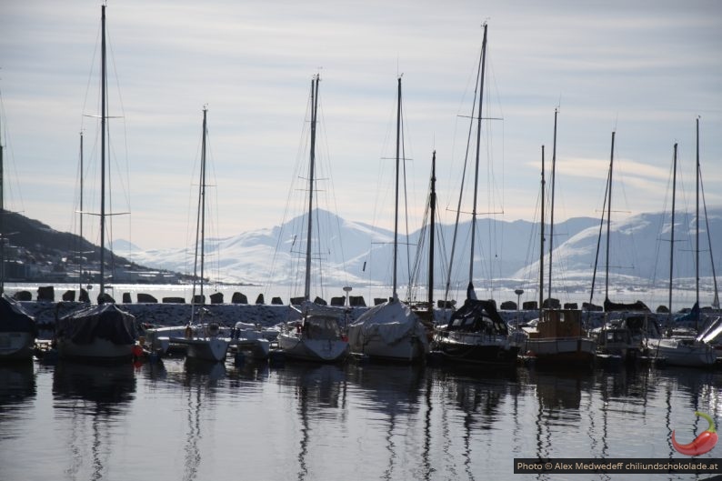 Voiliers dans un port de Tromsø