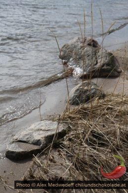 Pierre, sable et herbes sur la côte