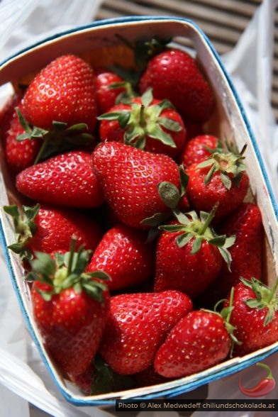 Fraises de Carpentras