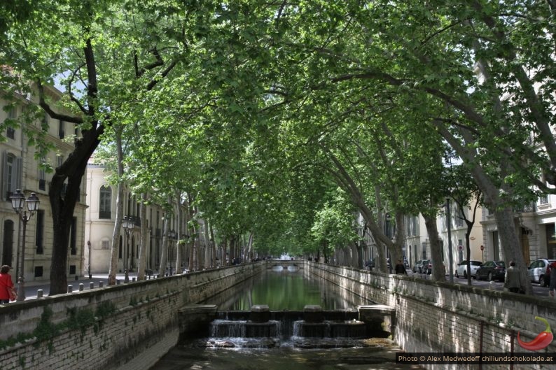 Quai de la Fontaine sous les platanes