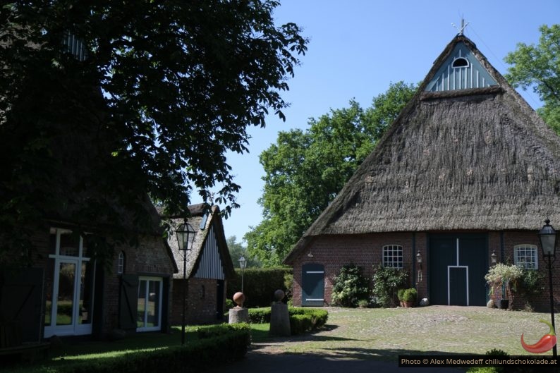 Reetgedeckte Backsteinbauten in Steindeich