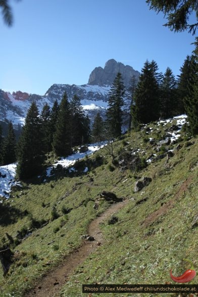 Weg vom Oberblegi zum Mittler Stafel