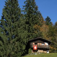 Hütte am Brunnenberg