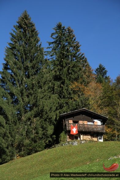 Hütte am Brunnenberg