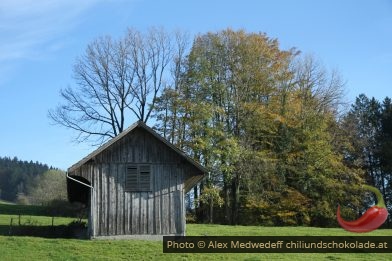 Gepflegter Heustadel