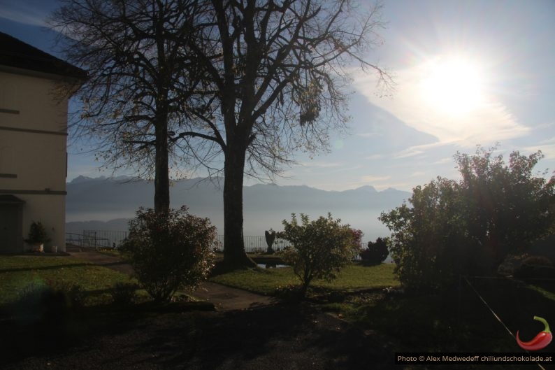 Herbstlicher Vorgarten des Klosters Berg Sion