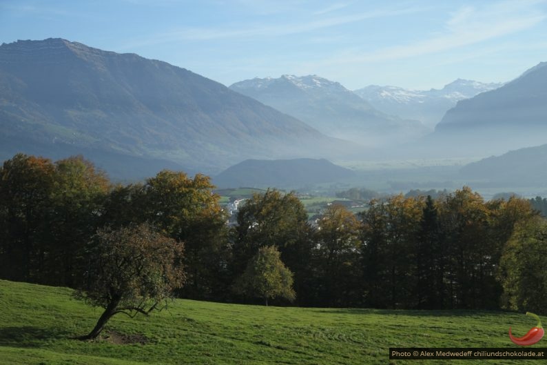 Blick ins Linthtal