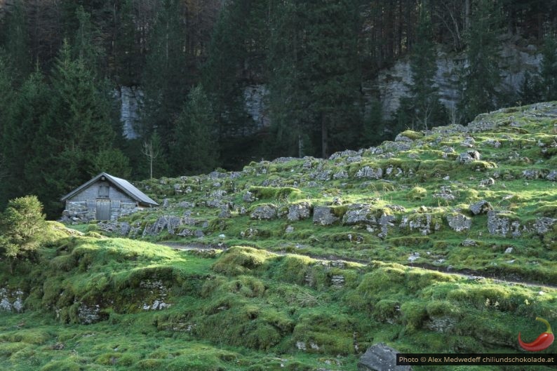 Alm Waldhütte unter dem Seealpsee