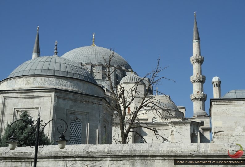 Kuppeln und Minarette der Süleyman-Moschee