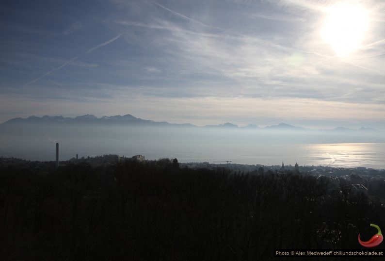 Vue de la Tour de Sauvabelin sur Lausanne