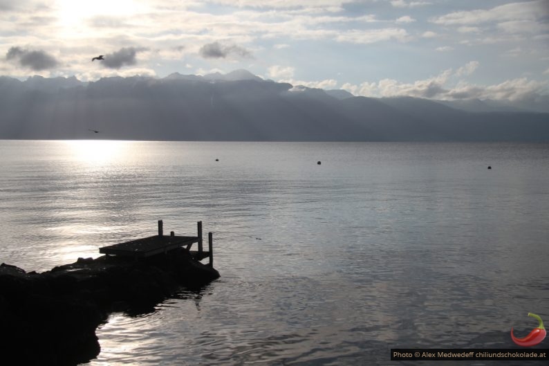 Lac Léman hivernal et matinal