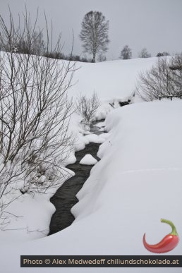 Chlausenbach couvert de neige
