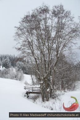 Pont et arbre hivernaux