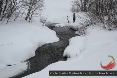 Rivière Biber dans le marais en hiver