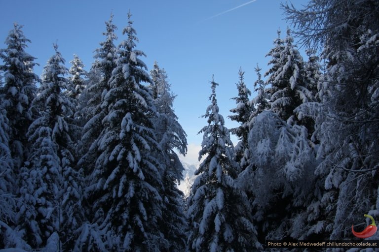 Winterwunderland