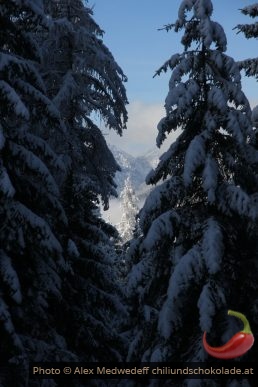 Blick durch die Wasserleitungsschneise im Götzner Wald