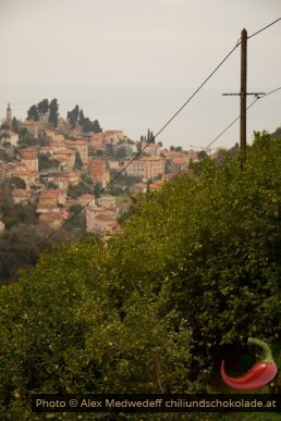 20150213-132825_les_hauts_du_vieux_centre_de_menton