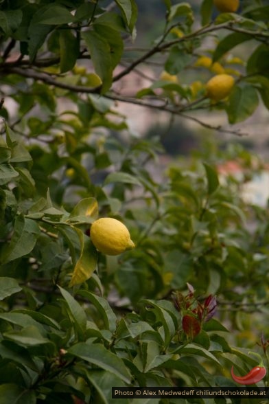 20150213-133820_citrons