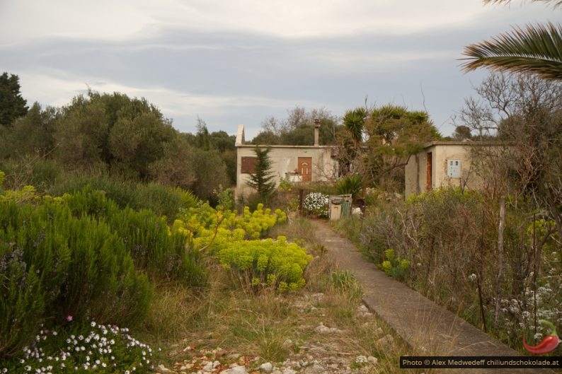 20150331-154444_unfertiges_haus_mit_verwildertem_garten