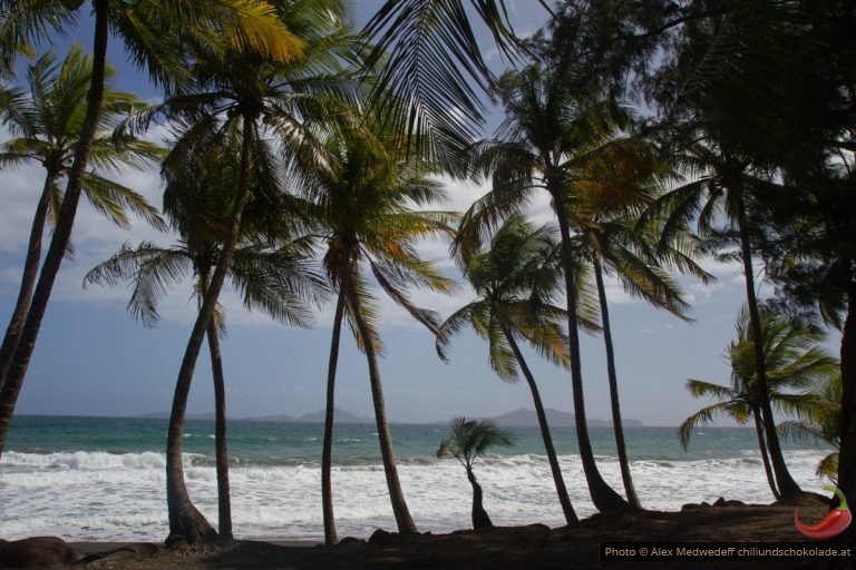 Guadeloupe – eine Woche auf dem Vulkan
