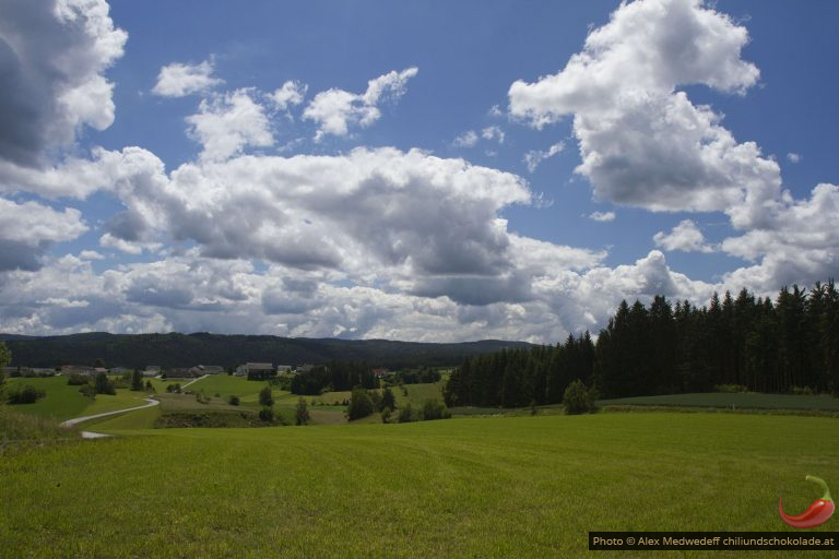 Auszeit im Waldviertel