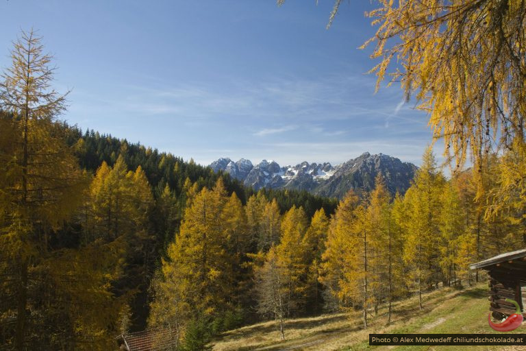 Wanderung zu den Eulenwiesen