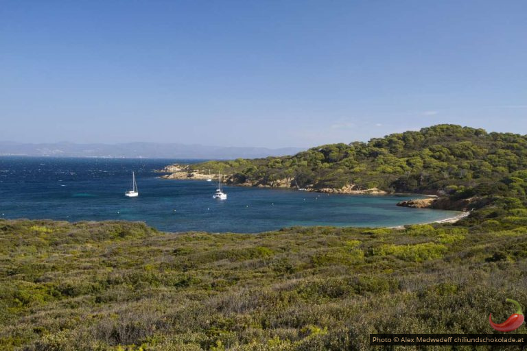 Ein Tag auf Porquerolles