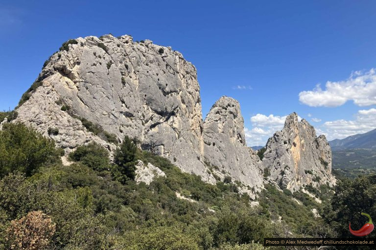 In den Dentelles de Montmirail