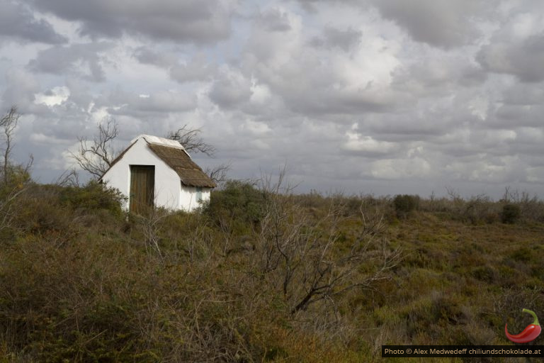 In der Camargue