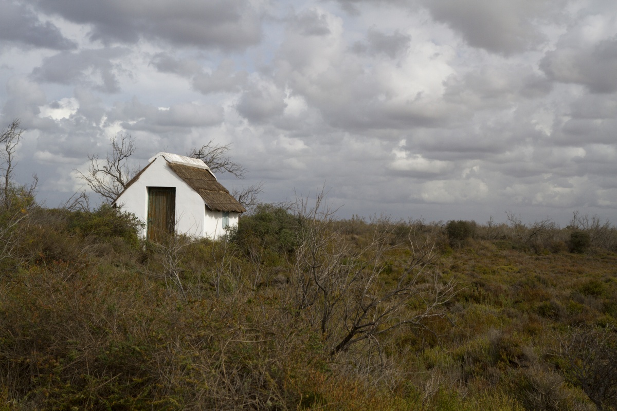In der Camargue