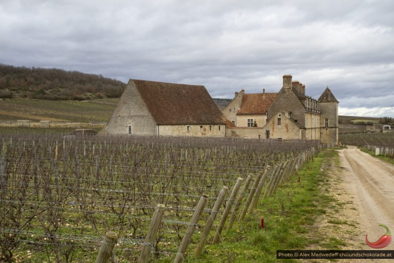 Dörfer und Schlösser in der Bourgogne